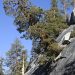 Yosemite: Tioga Pass