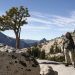 Yosemite: Tioga Pass