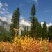 Yosemite: an der Tioga Road