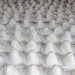 Cuenca: So werden Panama-Hüte hergestellt