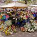 Cuenca: Blumenmarkt