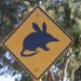 Verkehrsschild zum Schutz der Shark Bay Pseudomys-Maus