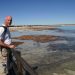 Boardwalk zur eigentlichen Attraktion, den Stromatolithen