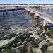 Boardwalk zur eigentlichen Attraktion, den Stromatolithen