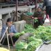 Marktszene (Nähe Guilin)