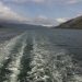 Richtung Puerto Natales