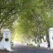 Stellenbosch: Zufahrt zum Lanzerac Wine Estate