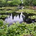 Queenstown: Botanischer Garten