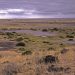 Amboseli Nat. Park: Morgendliche Ausfahrt