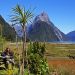Milford Sound Lookout