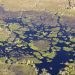 Moremi Game Reserve: Okavango-Rundflug