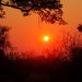 Moremi Game Reserve: Sonnenuntergang am 25.07.2011, 17:20 Uhr