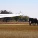 Okavango: Begrüßung an der Landepiste