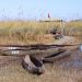 Okavango: Bootsanlegestelle direkt neben der Landepiste