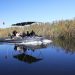 Okavango: Bootsfahrt zum Camp