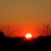 Okavango: Sonnenuntergang im Delta am 25.07.2011, 18:00 Uhr
