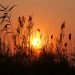 Okavango: Sonnenaufgang im Delta am 29.07.2011, 07:25 Uhr