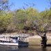 Chobe Nat. Park: Chobe River