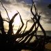 La Digue: Sonnenuntergang am Anse La Reunion