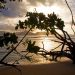La Digue: Sonnenuntergang am Anse La Reunion