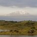 Momella Lake mit Mt. Kilimanjaro
