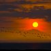 05:52 Uhr am Westufer des Lake Manyara. Im Hintergrund geht über dem Mt. Meru die Sonne auf. Für dieses Bild gab es in der Fotocommunity einen "Stern".