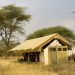 Serengeti Under Canvas: Unser Luxuszelt