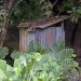 Mahé: Jardin du Roi - Toilette an einem Wohnhaus