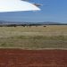 Flug in die Mara