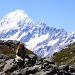 Wanderung am Fuße des Mt. Cook (Aoraki, 3724m)