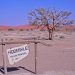 Namib Naukluft Park (HiddenVlei)