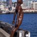Wellington: Queens Wharf