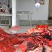Walfleisch im Fischmarkt am Hafen von Aasiaat