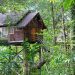 Permai Rainforest: Baumhaus