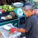 Lachau Markt: Durian Frucht