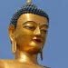 Der Goldene Buddha