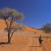 Ausflug ins Namib Rand Nat. Reserve