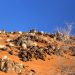 Ausflug ins Namib Rand Nat. Reserve (aus der Ferne schaut ein Oryx zu)