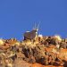 Ausflug ins Namib Rand Nat. Reserve (Oryx)