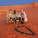 Ausflug ins Namib Rand Nat. Reserve (Kunst im Sand)